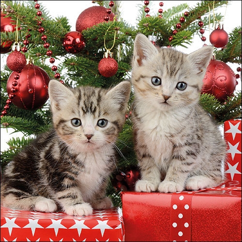 Serviette Christmas Kitten